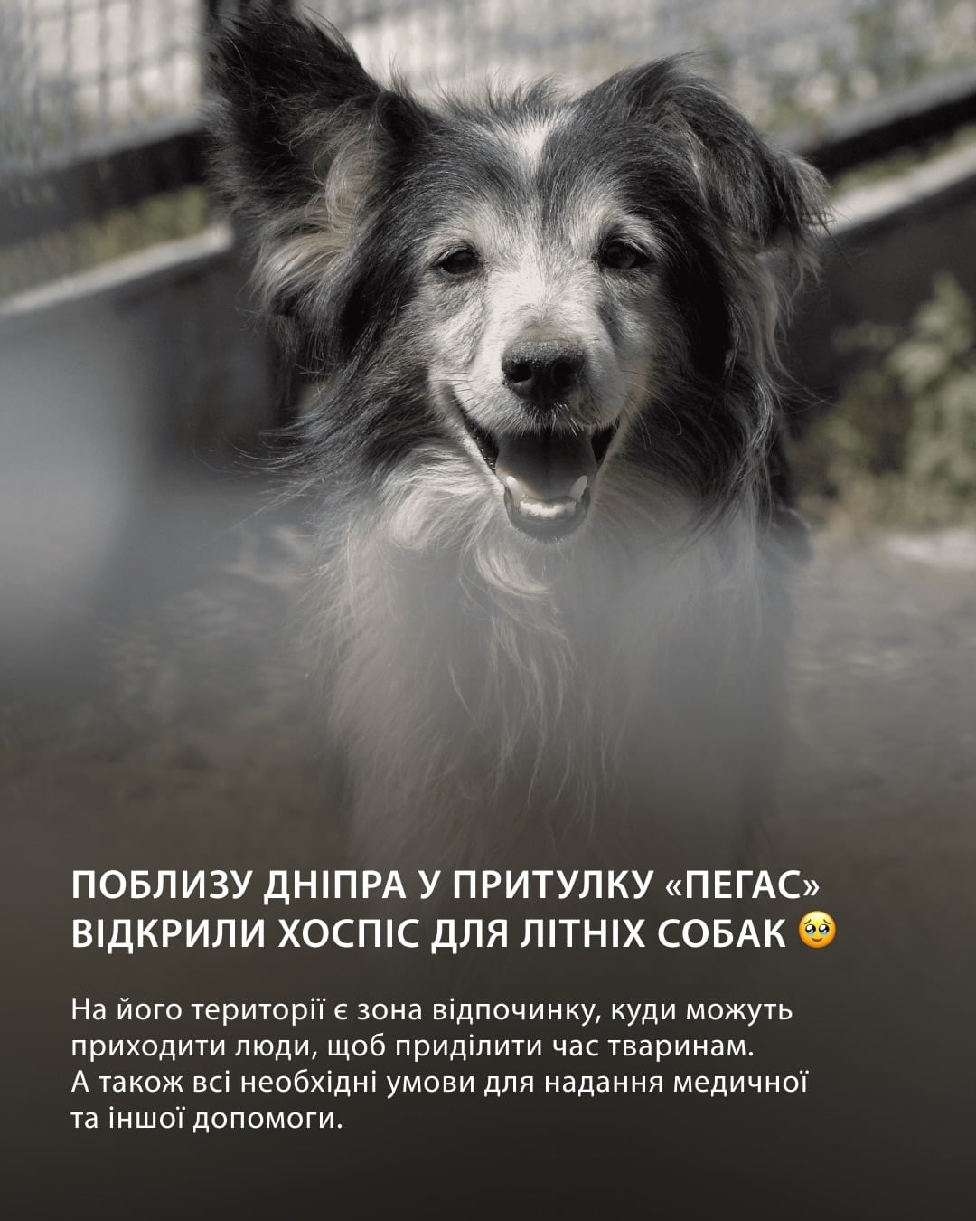 Найголовніші добрі новини тижня, які ви маєте знати