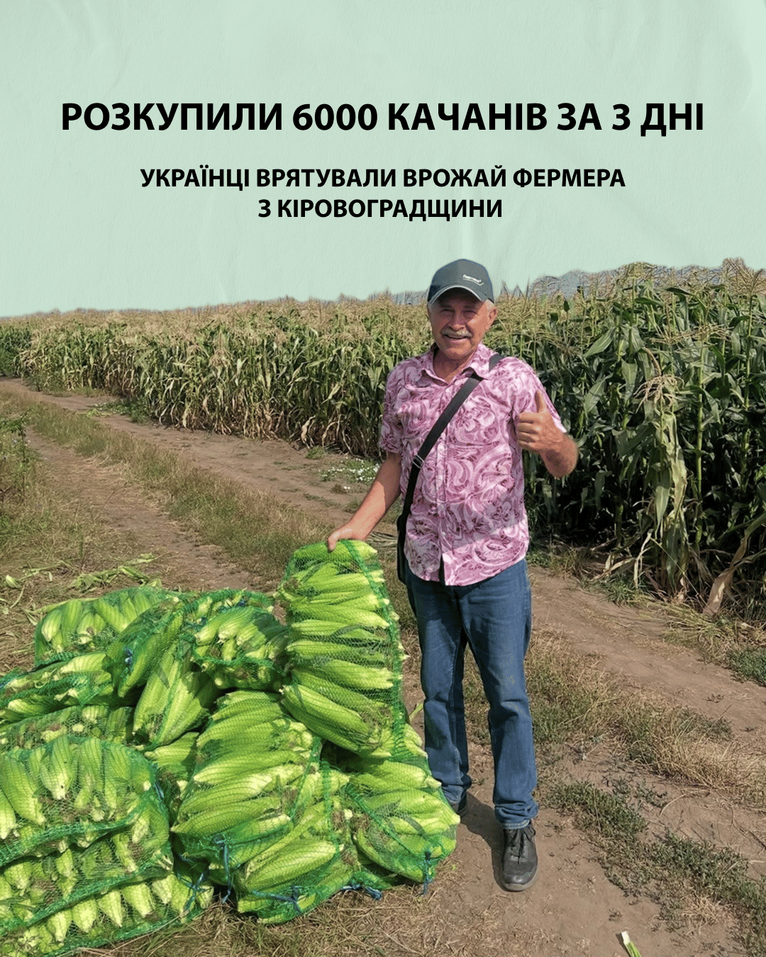 Розкупили 6000 качанів за 3 дні: українці врятували врожай фермера з Кіровоградщини