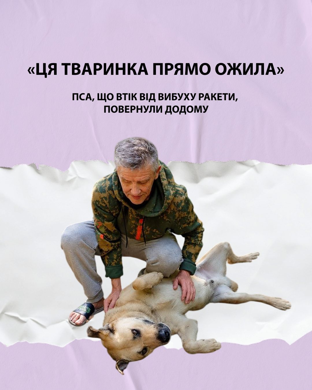 Пес утік від вибуху ракети й прийшов по допомогу в кав’ярню: як українці повернули його додому