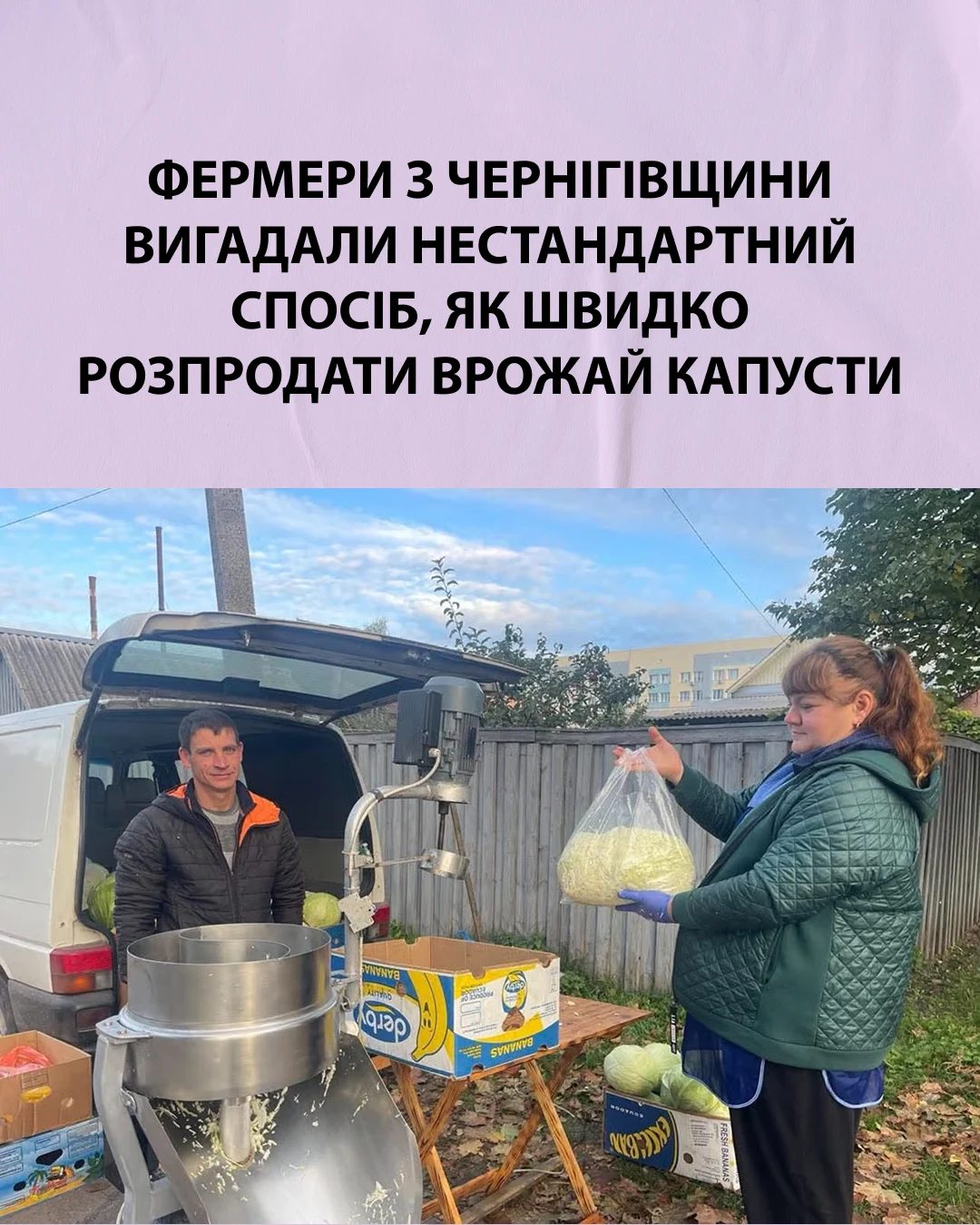 Фермери з Чернігівщини вигадали нестандартний спосіб, як швидко розпродати врожай капусти