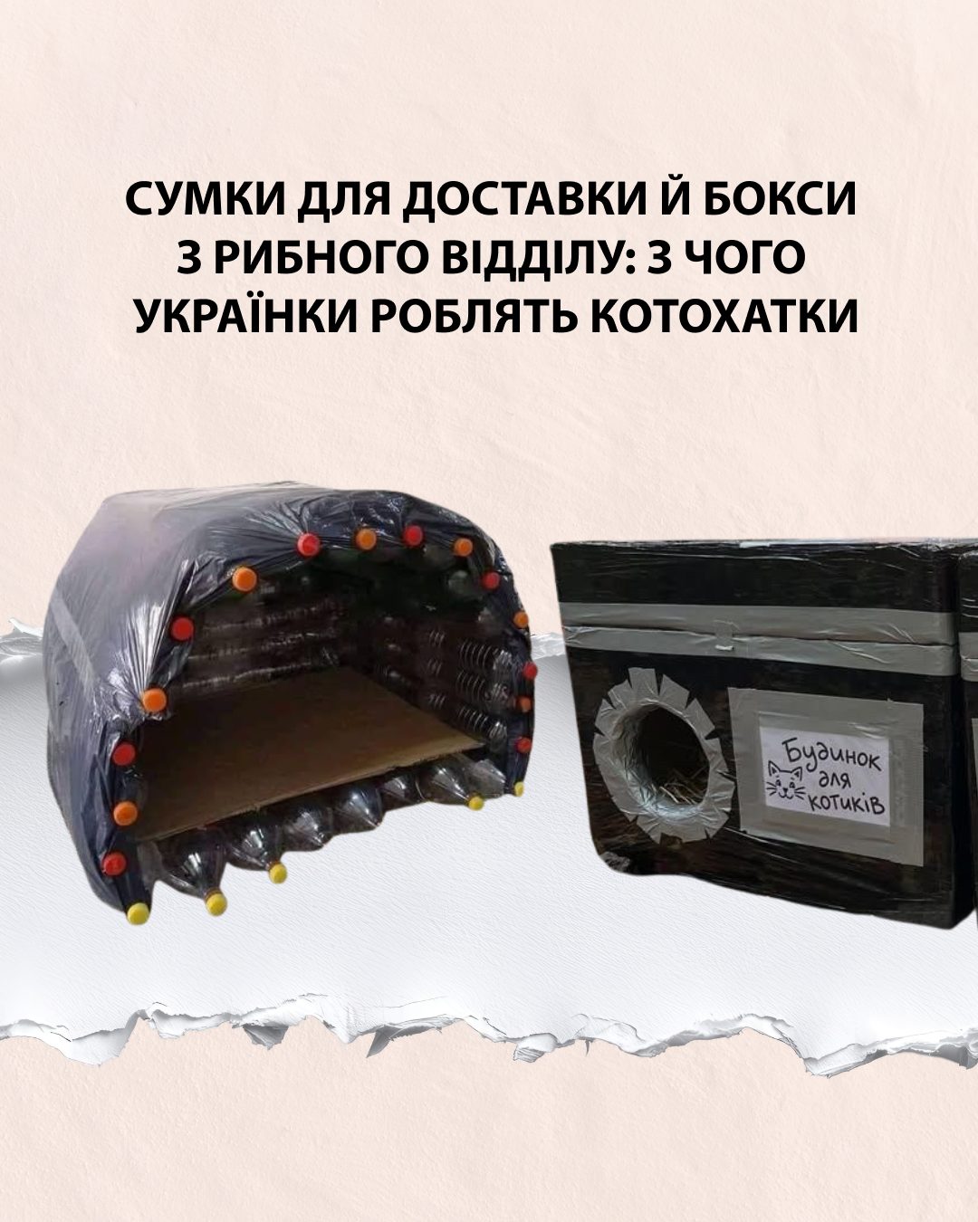 Як українці готують прихистки для безпритульних тварин перед холодами