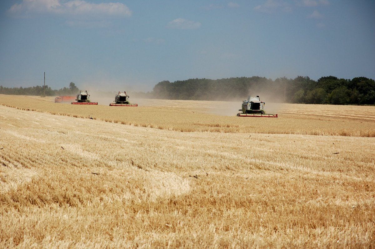 Який український регіон лідирує у виробництві сільгосппродукції?
