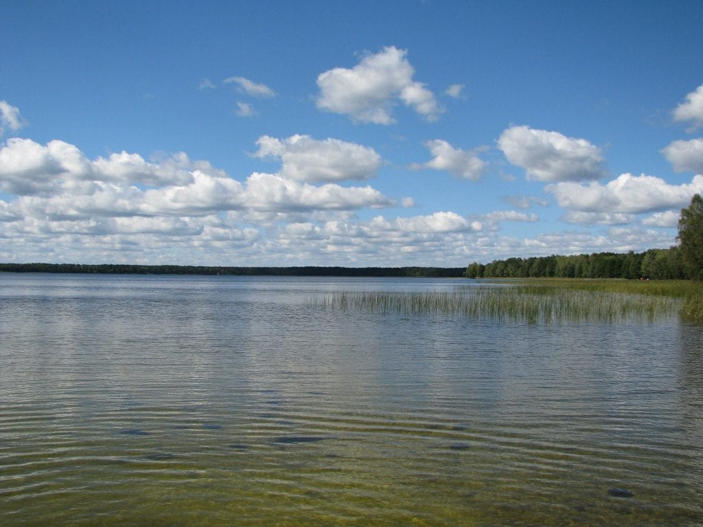 Під Києвом з’явиться національний природний парк