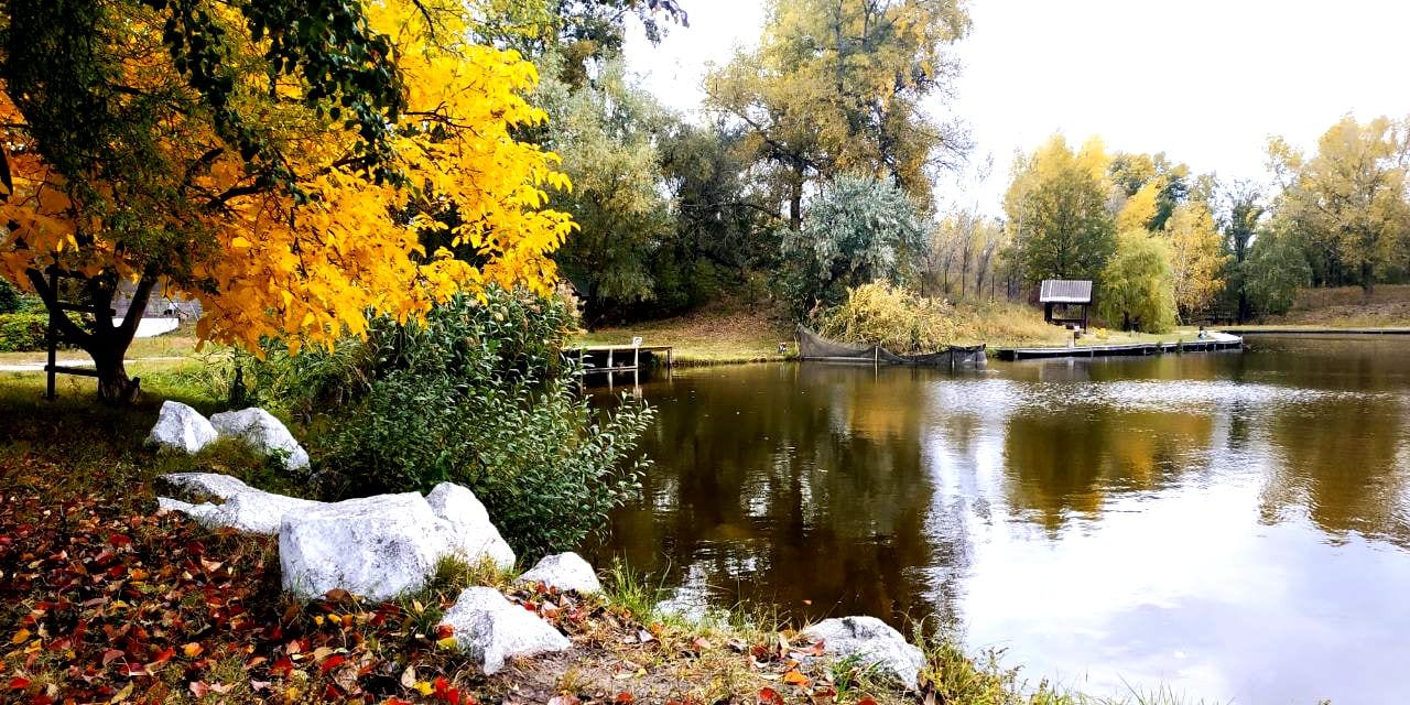 Як занедбану водойму в Києві перетворили на місце спортивної риболовлі (ВІДЕО)