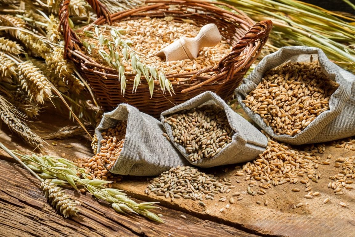 Торгівля агропродукцією між Україною і ЄС сягнула рекордного показника
