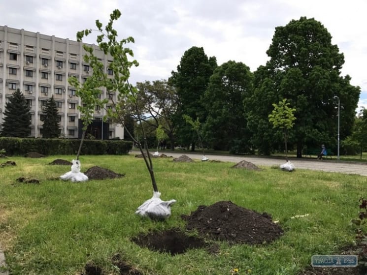 В Одесі з’явиться сучасний сквер із Меморіалом воїнам АТО