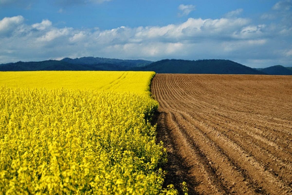 На Чернігівщині створили перший в Україні сільський геопортал