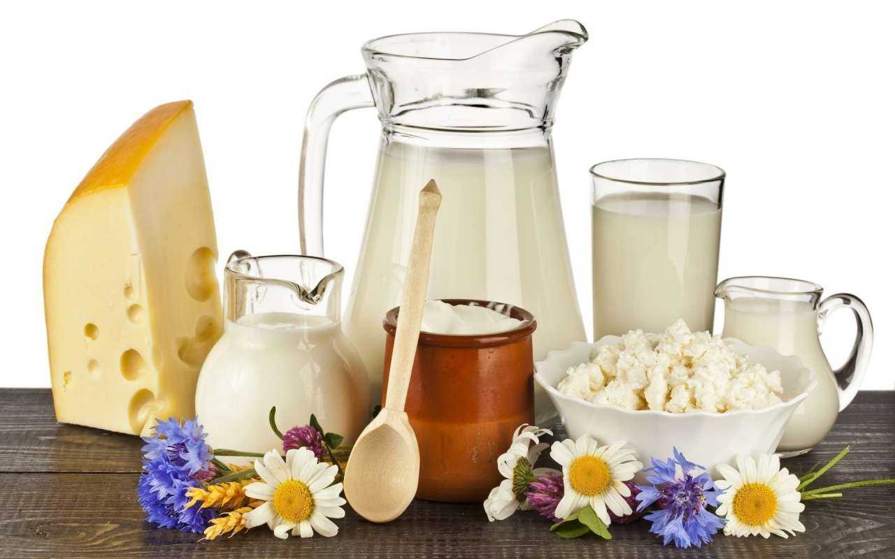 Йорданія відкрила ринок для української молочної продукції