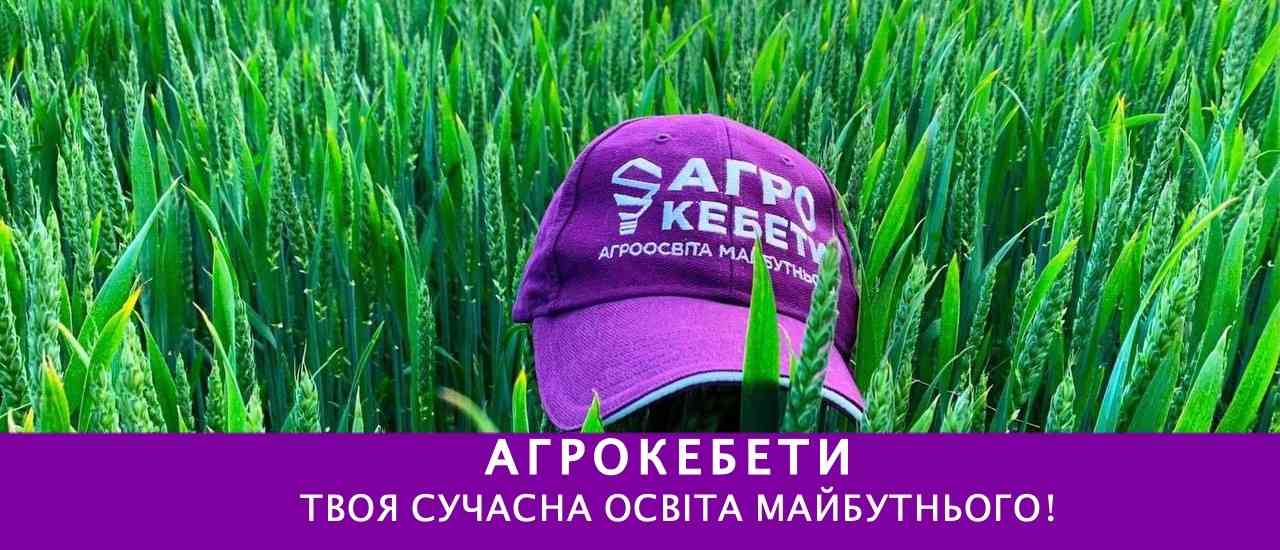 В Україні створили безкоштовні аграрні онлайн-курси за підтримки USAID