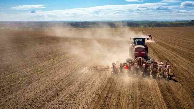 Українські аграрії завершили посівну: засіяно 95% прогнозованих площ