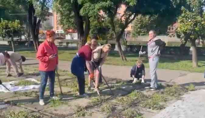 «Толокотерапія»: на Франківщині переселенці роблять громаду охайнішою (ВІДЕО)