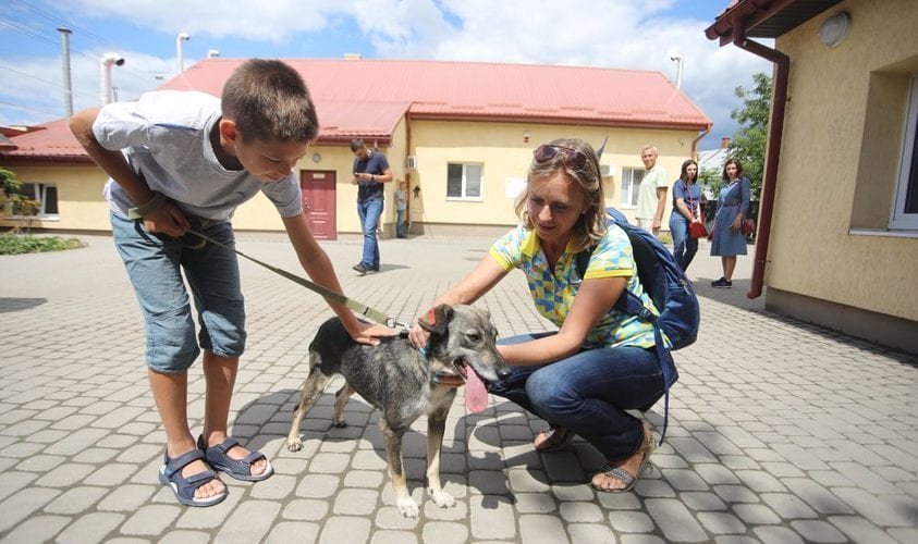 На Львівщині будують притулок для тварин, які втратили господарів через війну