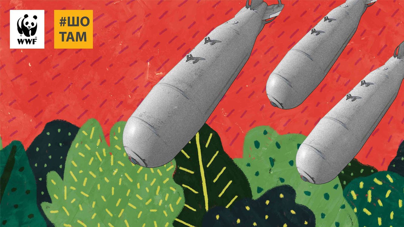 «Війна не закінчується на лінії фронту». Як бойові дії впливають на екосистеми, та чи зможе природа відновитися самостійно