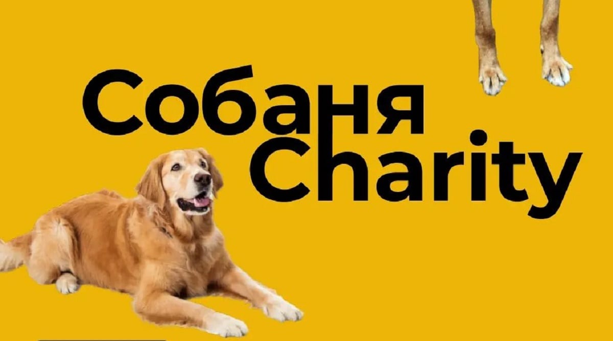 Киян запрошують на благодійну барахолку СобаняCharity