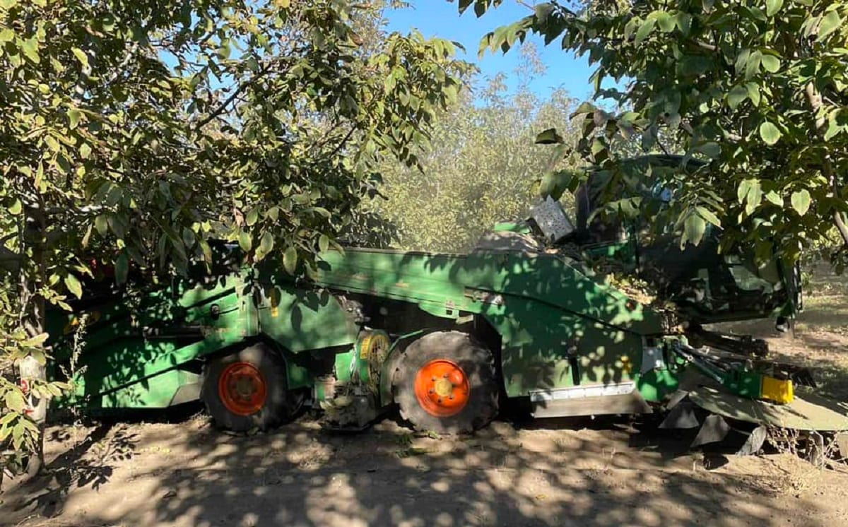 На Одещині створили єдиний в Україні горіховий сад, де не потрібна ручна праця