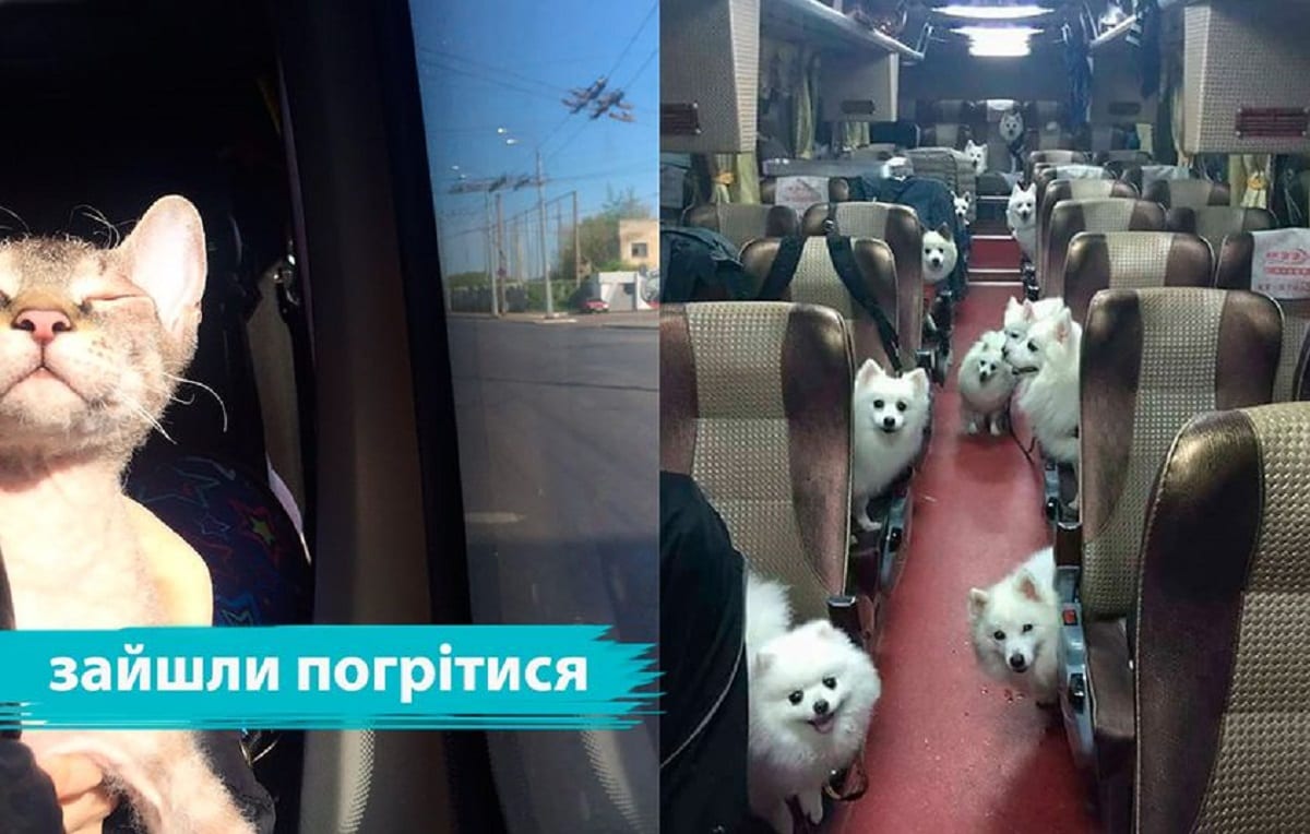 У Франківську запустять автобус, обладнаний під пункт обігріву