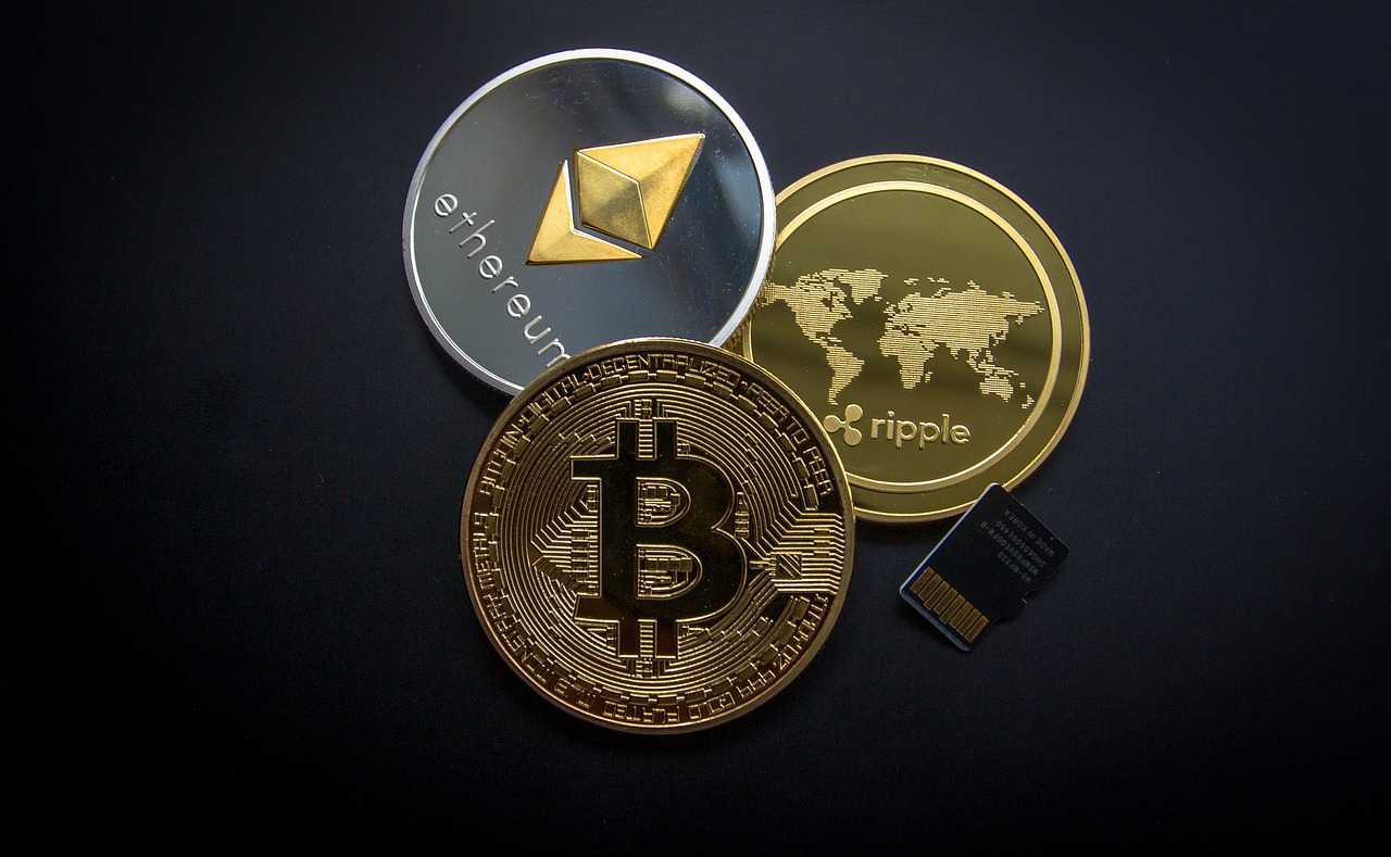 В Україні запускають безкоштовний курс з криптограмотності та блокчейну
