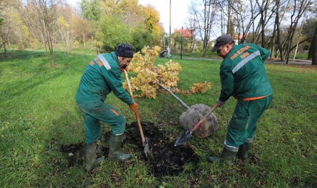 У Львові стартує акція «Хочу посадити дерево!»