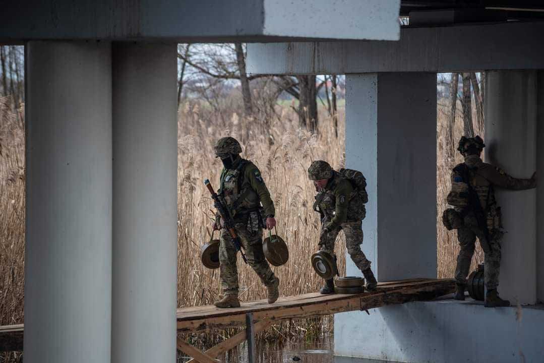 На Сіверщині Сили оборони знищили два ворожих БПЛА