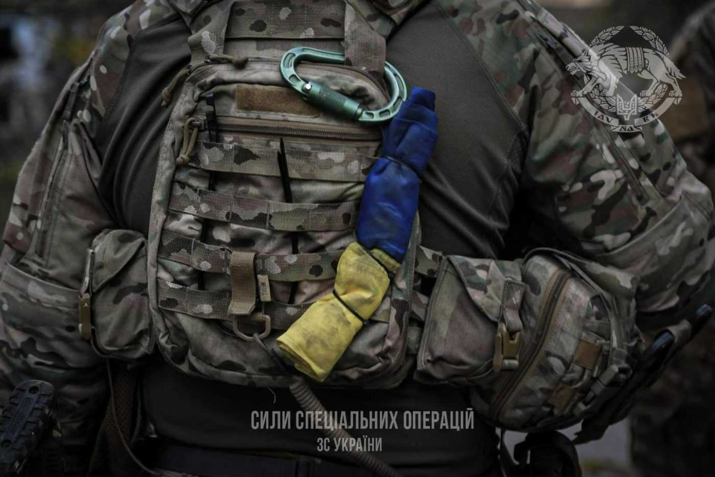 Бійці ССО знищили дві самохідні артилерійські установки ворога на Херсонщині (ВІДЕО)