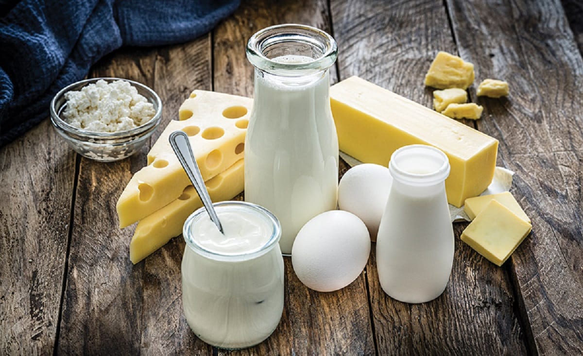 Канада відкрила ринок молока і молочних продуктів для українських виробників