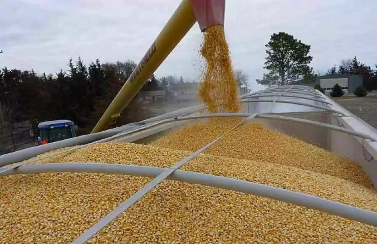 На Волині будують два сухі порти для експорту агропродукції