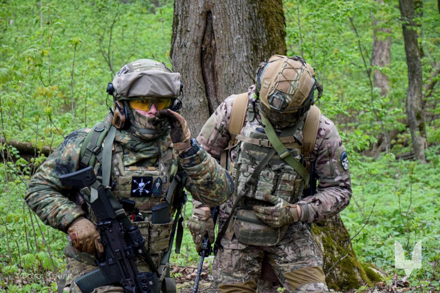 Бійці ССО взяли у полон російських десантників на Донеччині (ВІДЕО)