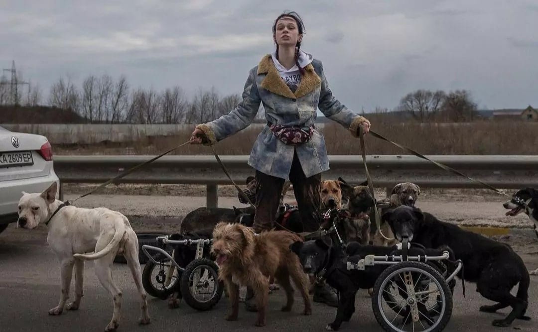 У Києві створюють мурал, присвячений зоозахисниці з Ірпеня (ФОТО)