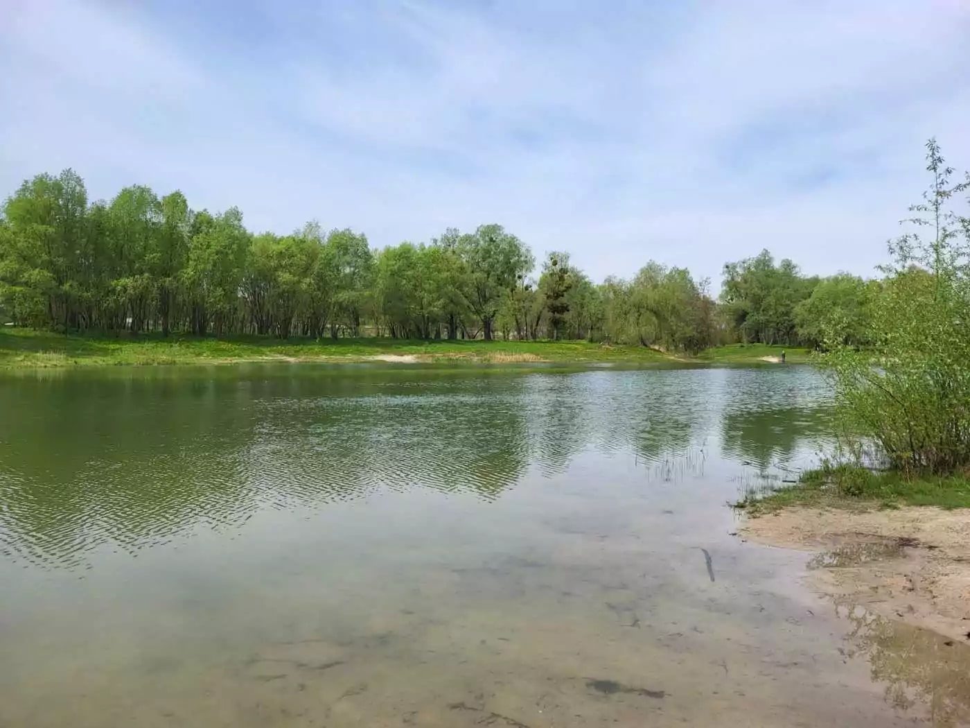 У Києві восени розчистять та наповнять водою озеро Синє