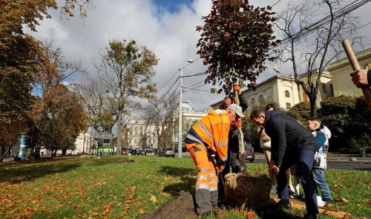 У Львові стартує щорічна акція «Хочу посадити дерево!»
