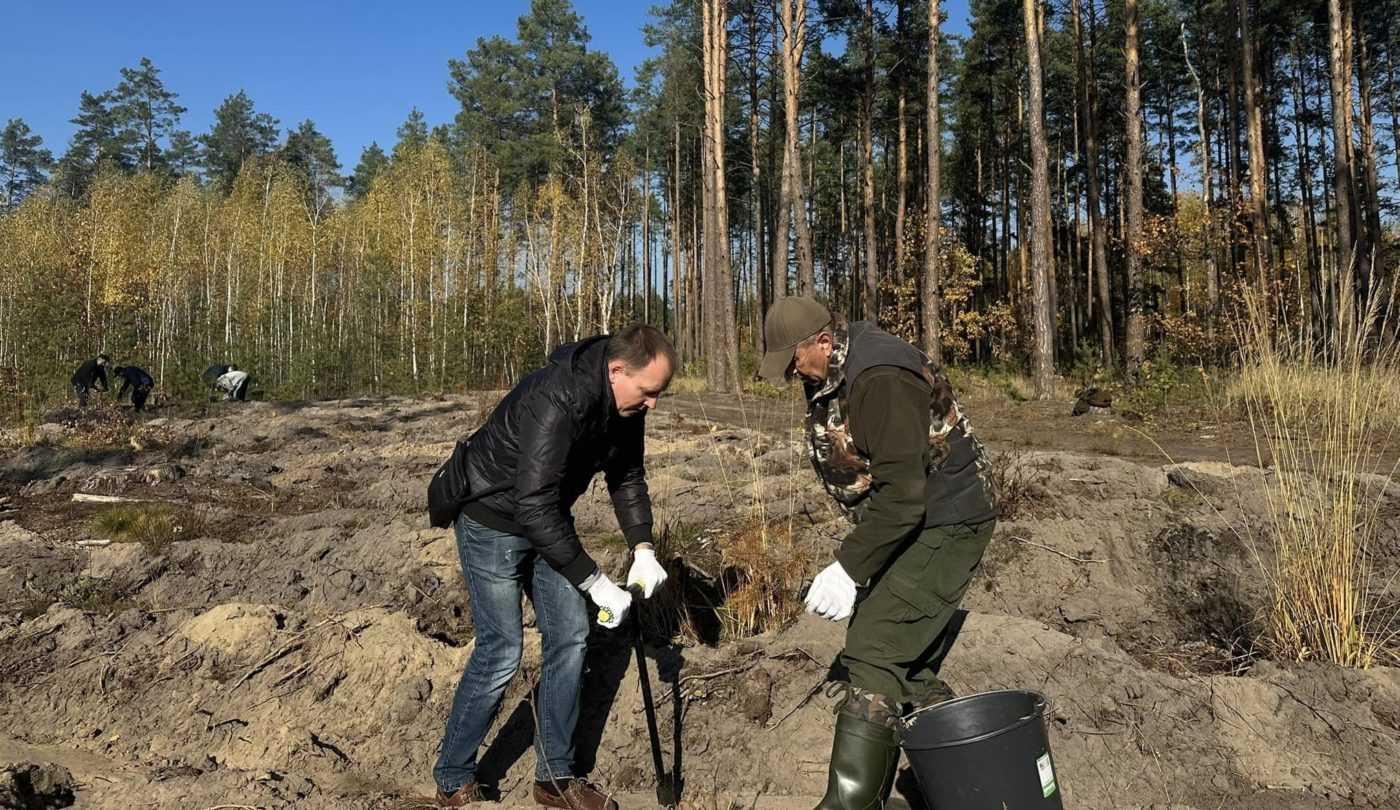 Поблизу Гостомельського аеропорту почали висаджувати новий ліс
