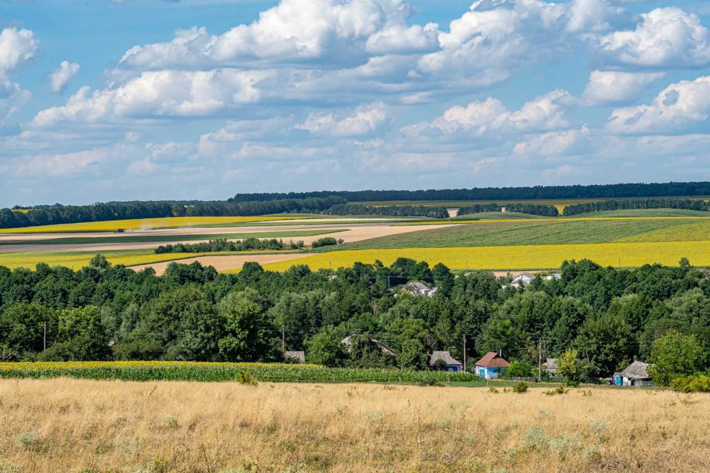 Українські ветерани можуть отримати грант для інтеграції у сільське господарство