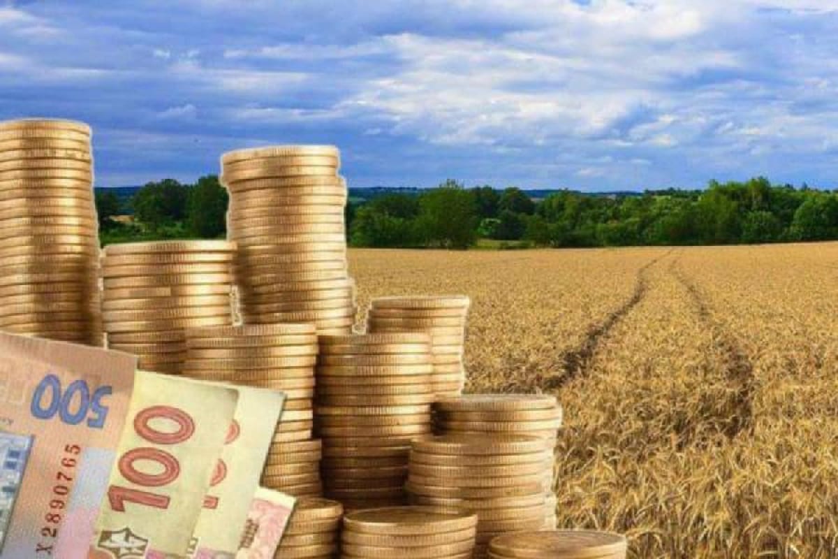 В Україні запровадили новий вид цінних паперів — аграрні ноти