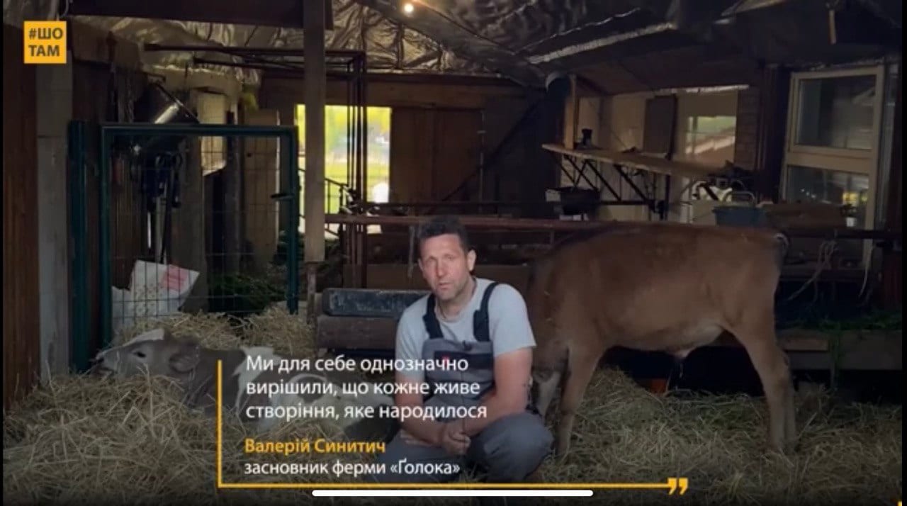 Збудував ферму, у якій корови живуть щасливе життя без насильства та вбивства їхніх теляток