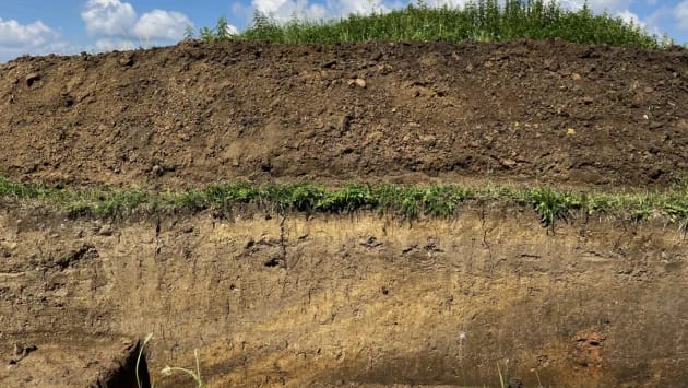В Україні археологи виявили стародавній посуд віком понад 3000 років: як він виглядає