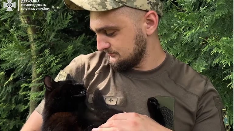 «Їздять на фронт, дають лапу»: як бойові коти Мавік та Лео тішать прикордонників