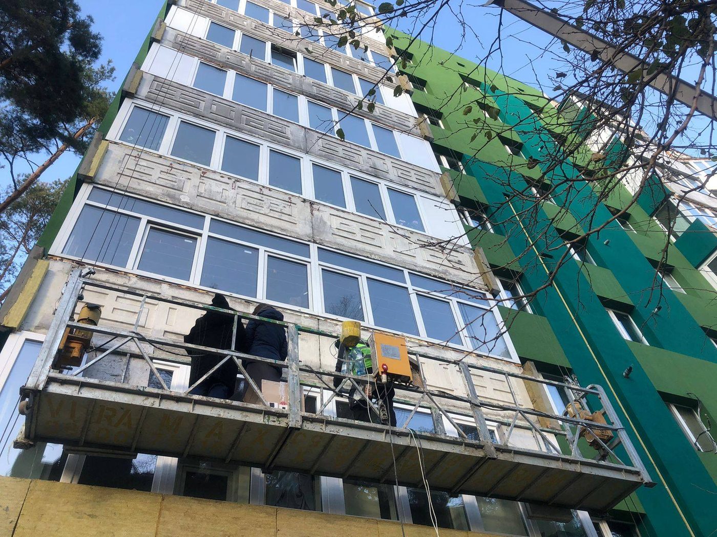 В Ірпені врятували червонокнижних кажанів під час утеплення багатоповерхівки (ФОТО)