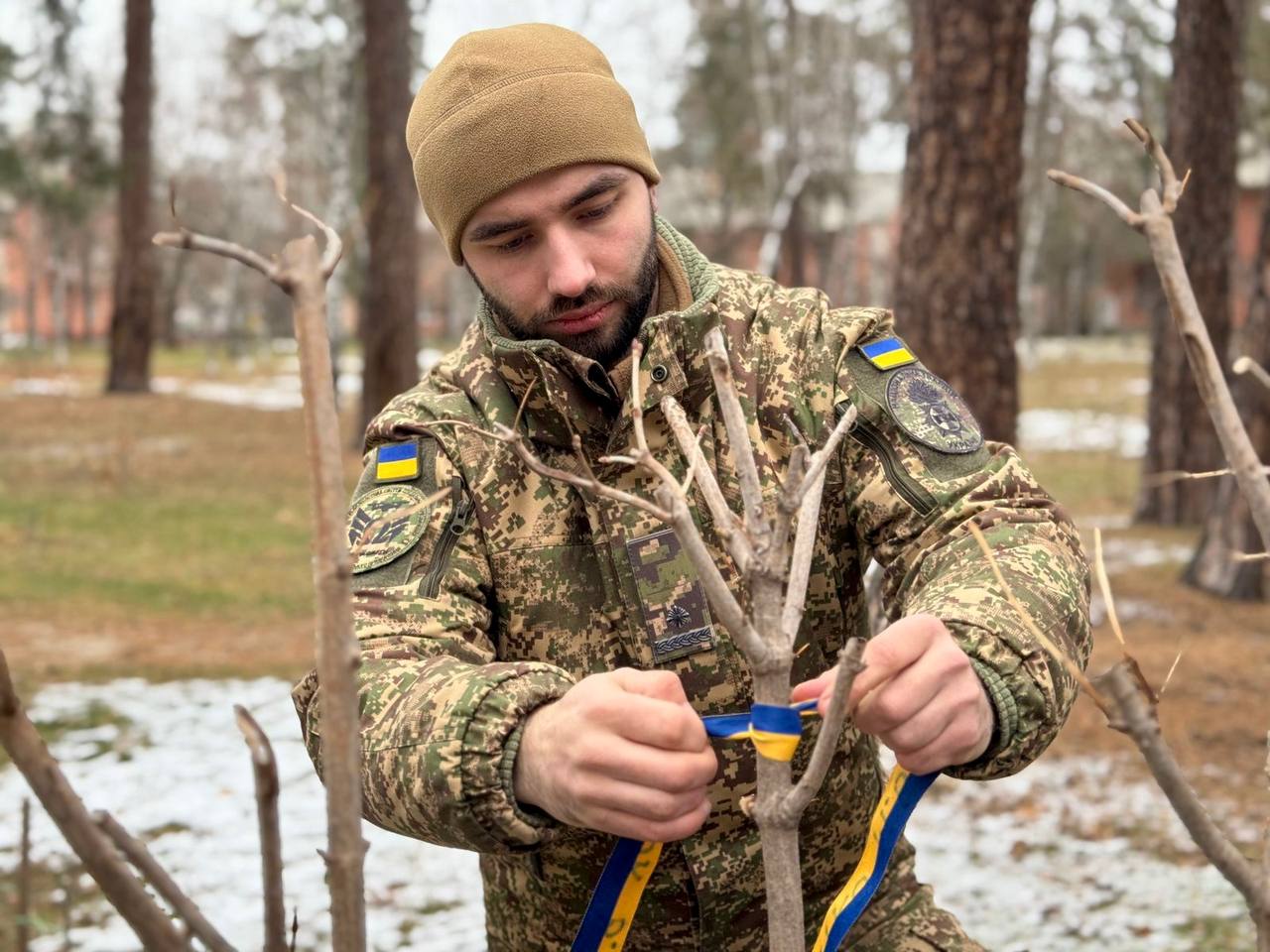 У київському парку висадили калиновий гай на честь полеглих захисників (ФОТО)