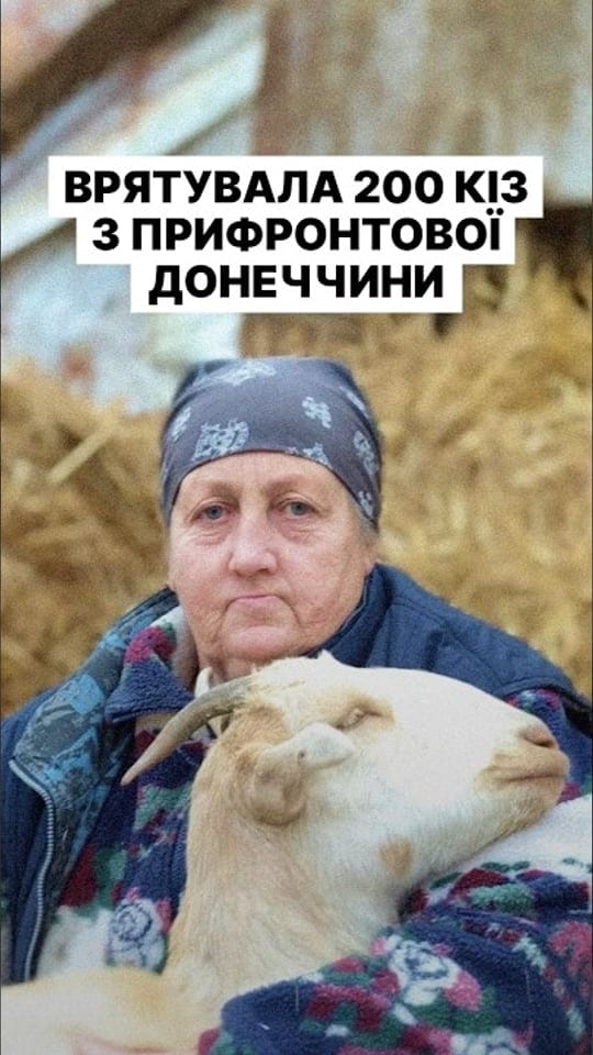 Перевезла 200 кіз з прифронтової Донеччини на Львівщину