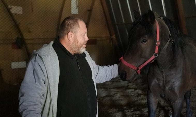 У Херсоні чоловік пішки вивів трьох коней, аби врятувати їх з-під обстрілів