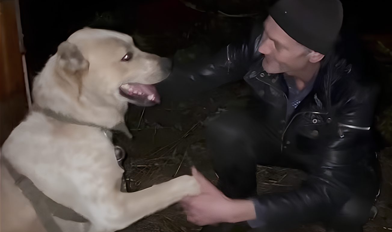 UAnimals врятували алабая з Донеччини і повернули його власнику (ВІДЕО)