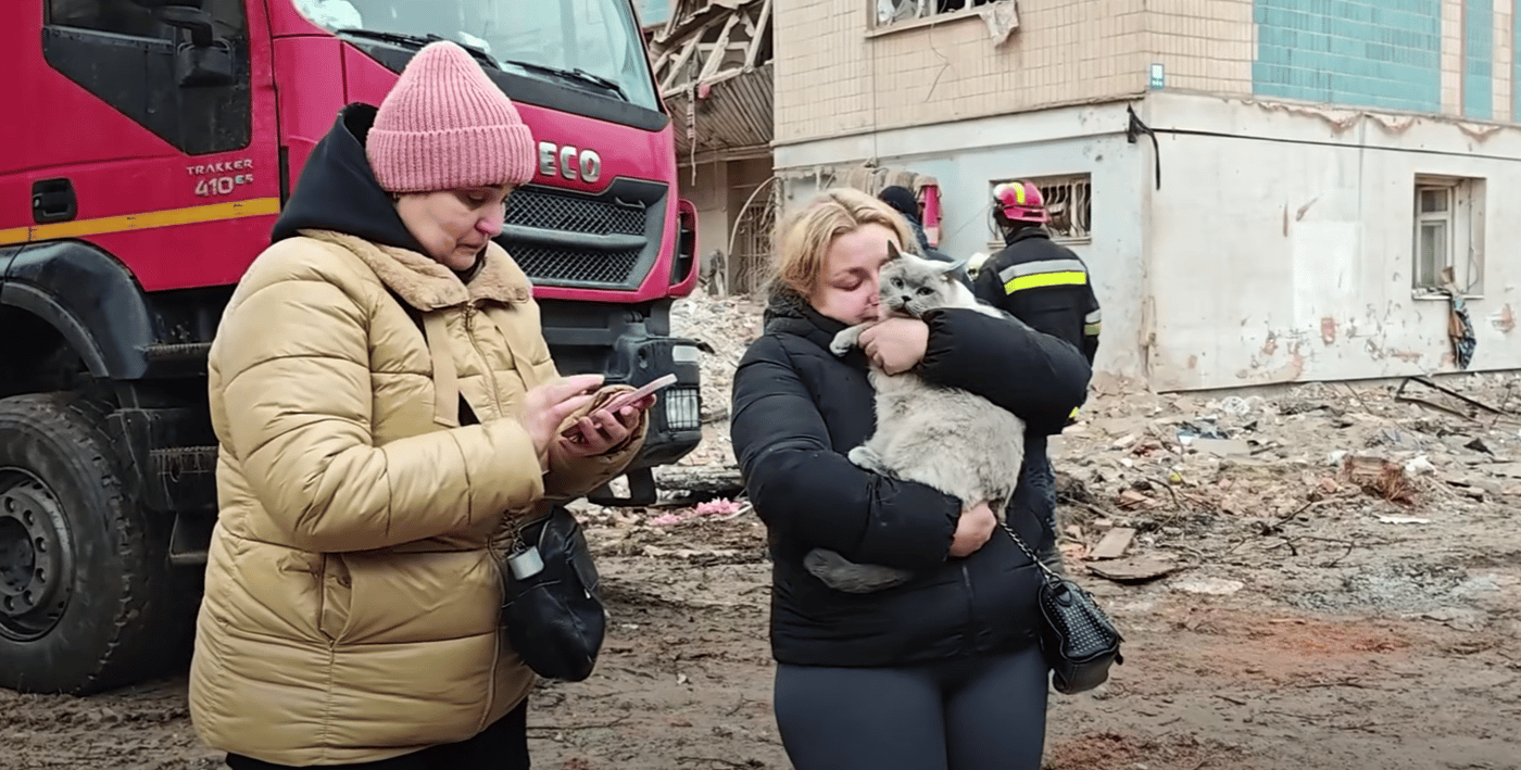 Врятована кішка після атаки на Тернопіль