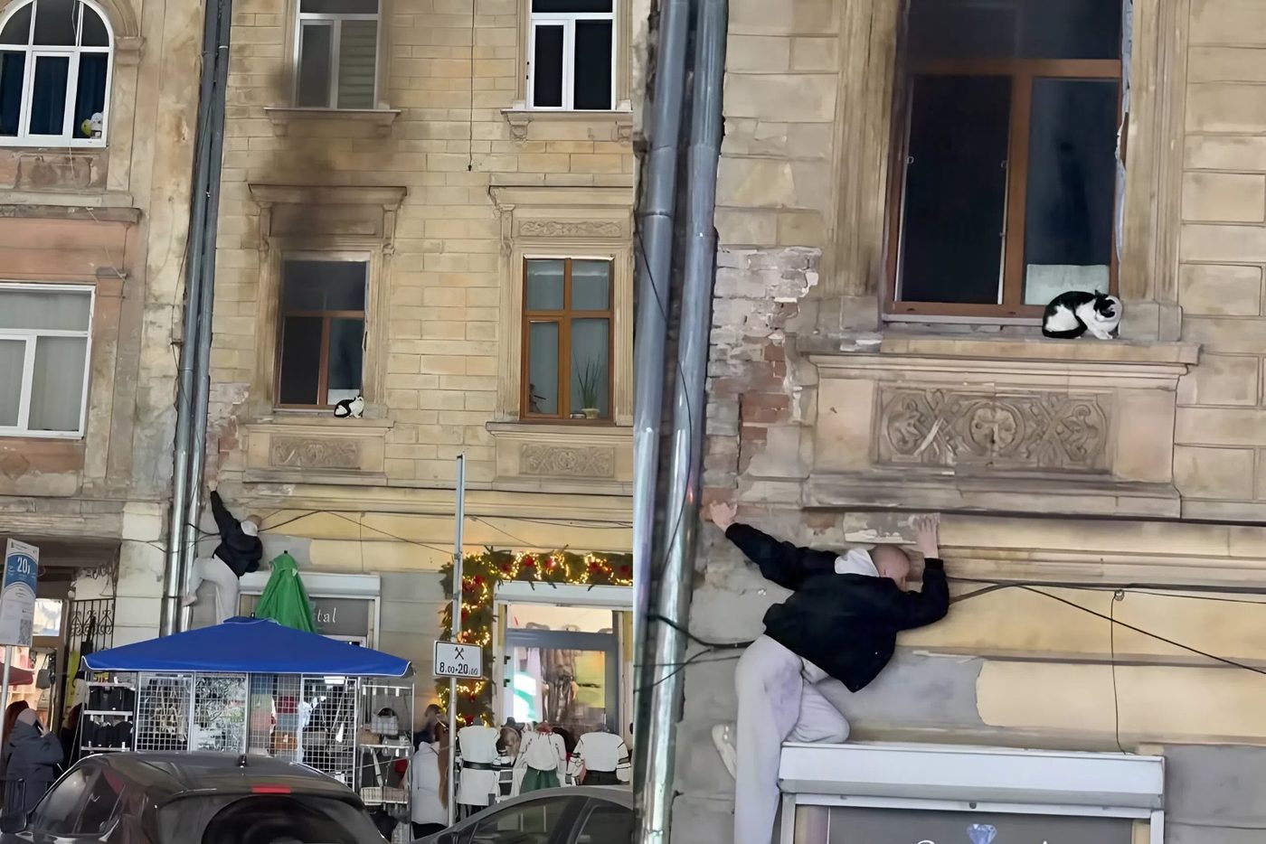 У Львові перехожий урятував кота, який під час пожежі був у квартирі