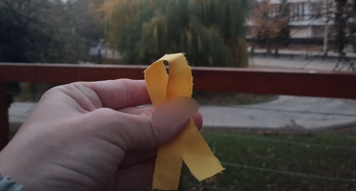 Активісти в Криму поширили сотні проукраїнських плакатів (ФОТО)
