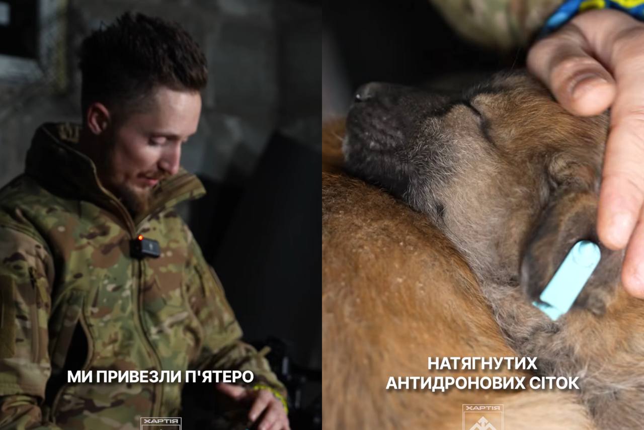 Бійці «Хартії» врятували з позицій п’ятьох цуценят та вже шукають їм домівку (ВІДЕО)