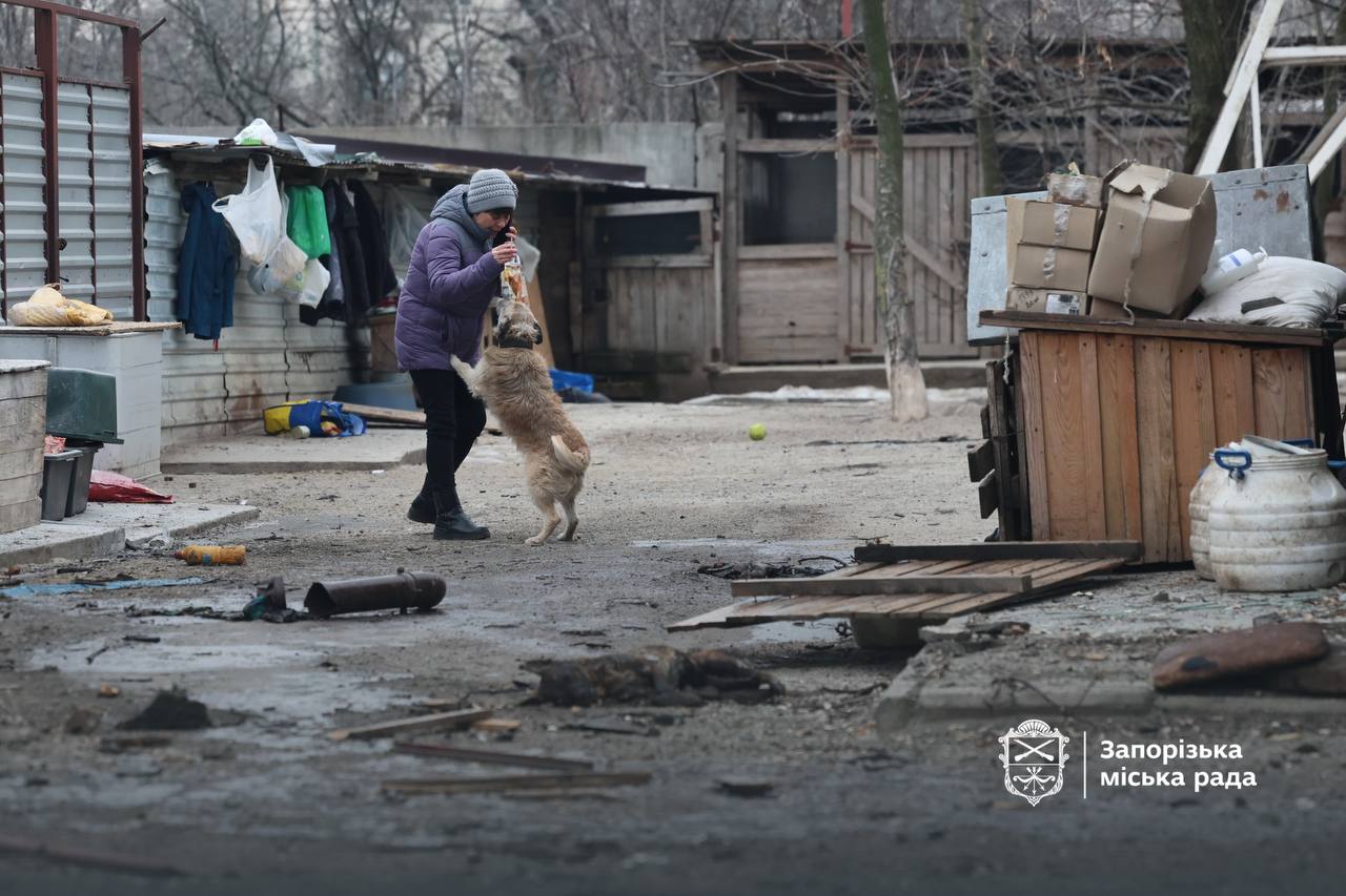 Запорізькі енергетики допоможуть відремонтувати пошкоджений притулок для тварин