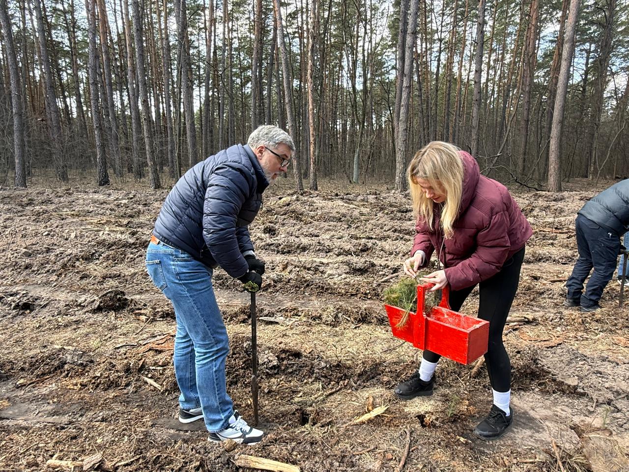 У Києві висадили 3 тисячі дерев, щоб відновити ліс після російського ракетного удару