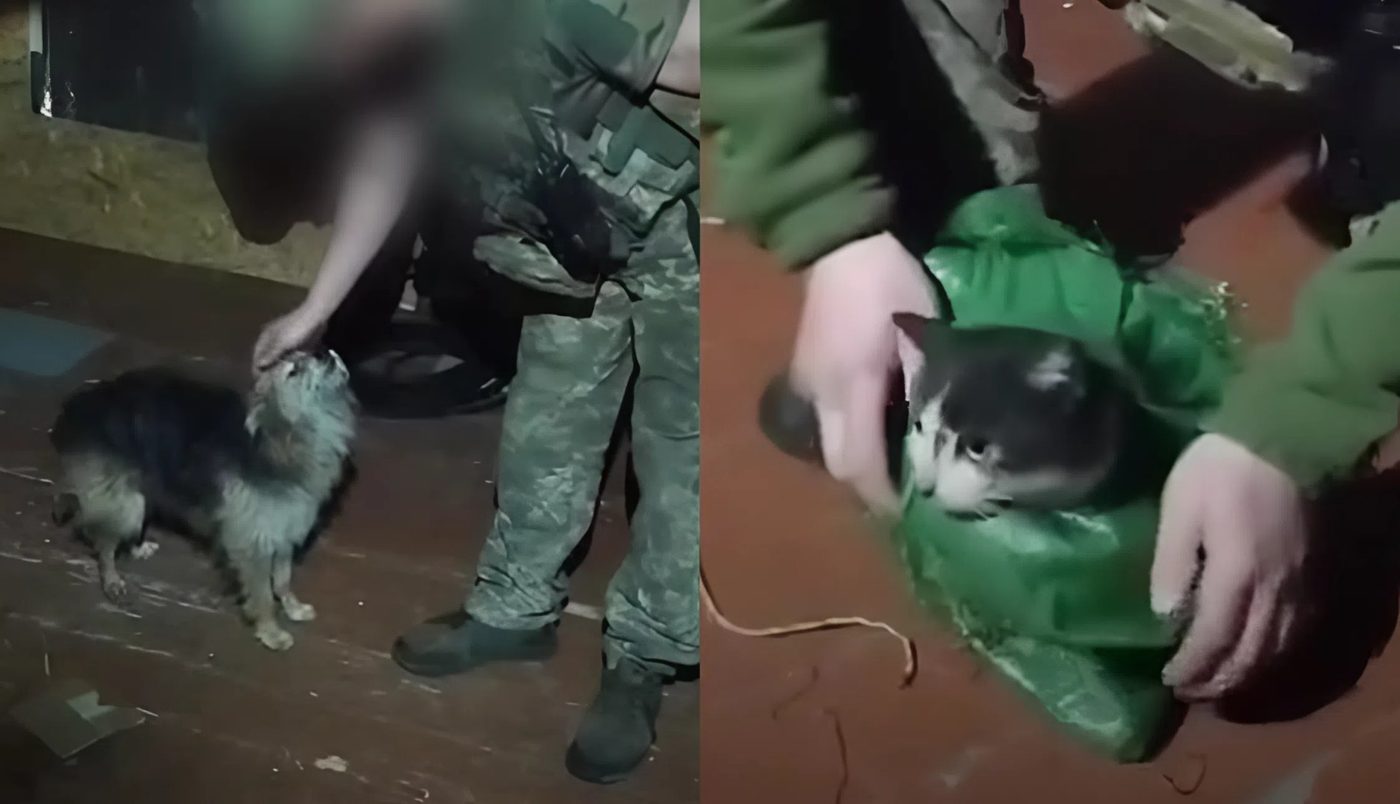 12 км у повітрі: бійці ЗСУ дроном евакуювали з передової кота й собаку (ВІДЕО)