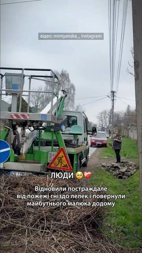 Люди відновили постраждале від пожежі гніздо лелек
