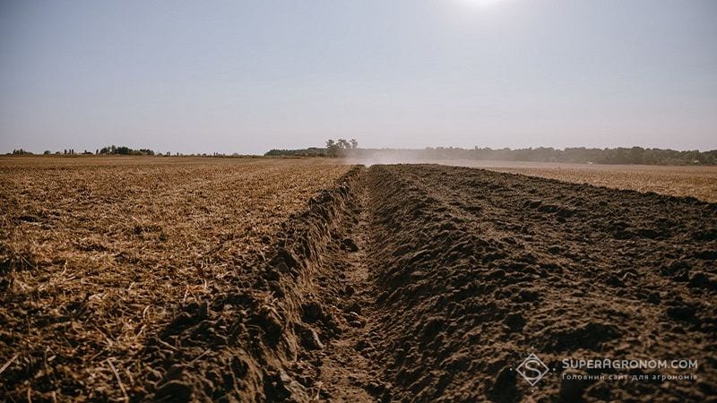 В Україні створили цифрову карту торфовищ та встановили екоправила їх використання